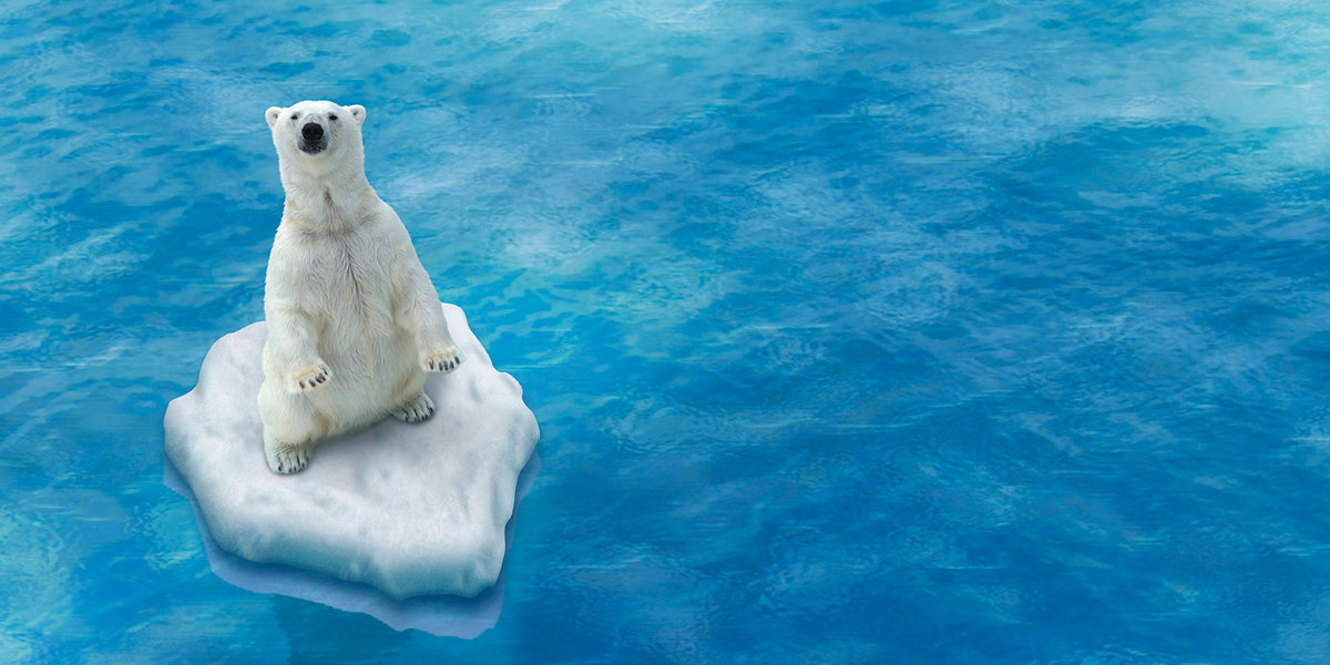 accesos-referencias-energias-renovables