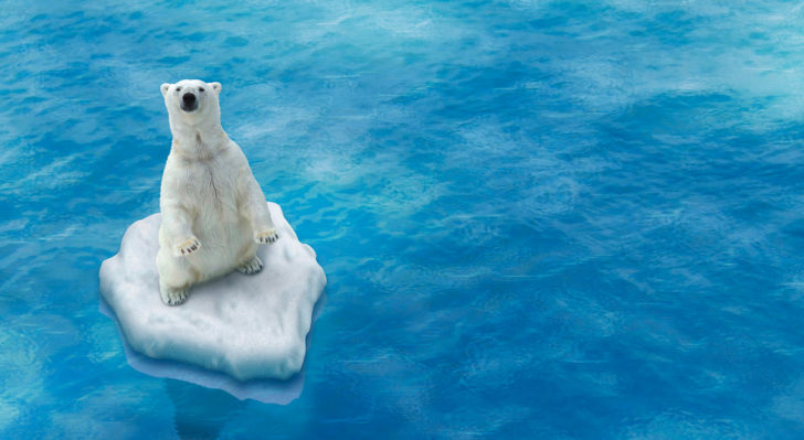 accesos-referencias-energias-renovables