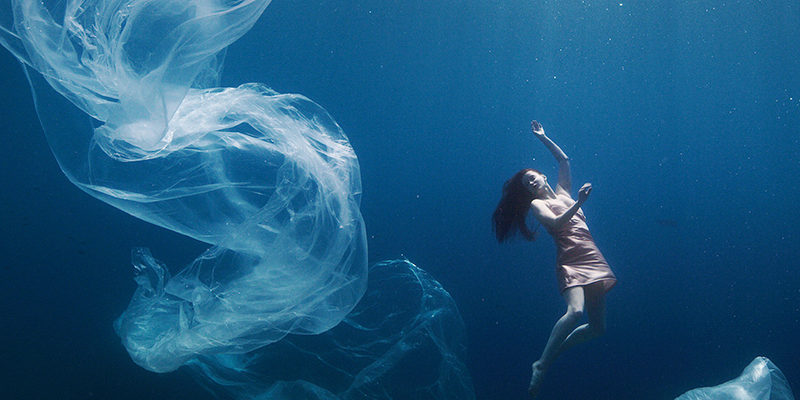 plantilla-cientes-damm