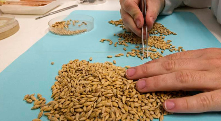 plantilla-cientes-intermalta