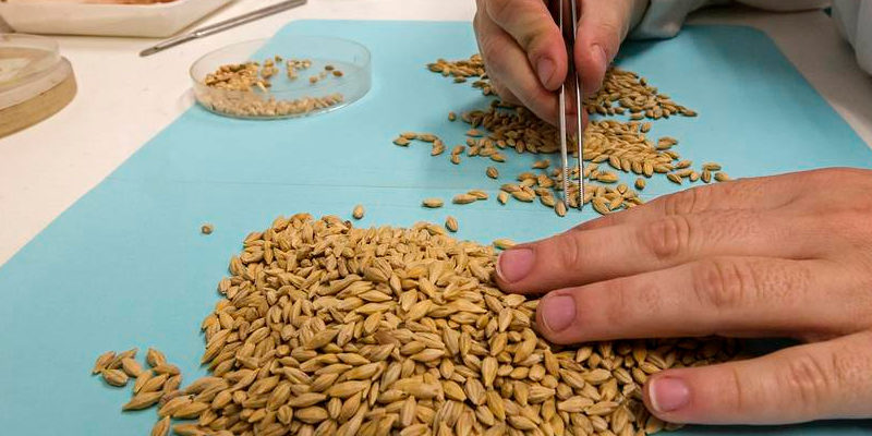 plantilla-cientes-intermalta