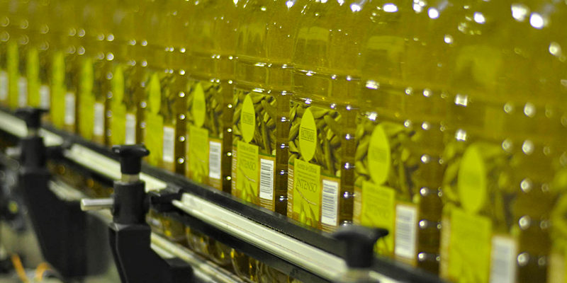 plantilla-cientes-sovena