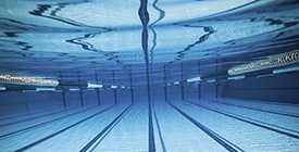 Sedical presenta SediREC®