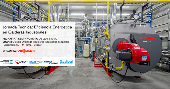 Eficiencia Energética en Calderas Industriales