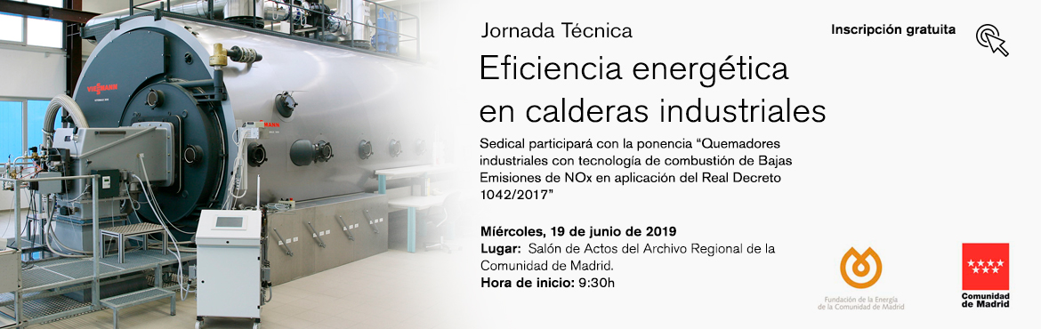 eficiencia energética en calderas industriales