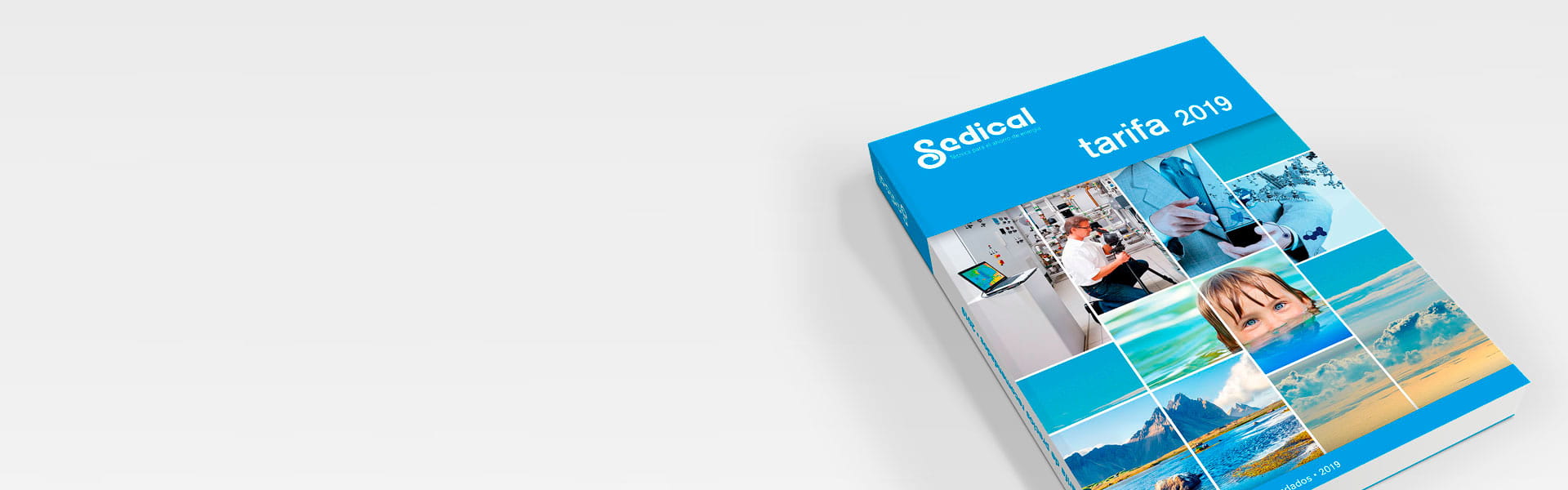 Acceso a la tarifa de precios